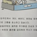 전주전단배포 제작부터 서신동전단지배포 후기