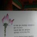 제47회~48회 108사찰성지순례 완주송광사와위봉사 이미지