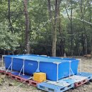 희여울과 꽃나예 이미지