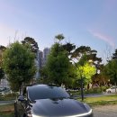 세천남로 | 대구 테슬라 틴팅 :D 대구 테슬라 모델 Y 주니퍼 신차검수 틴팅샵 루마버텍스 세천점 내돈내산 후기!