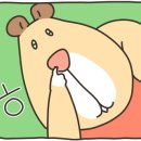 위니아서비스 강릉점 이미지