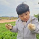 일오삼유치원 이미지