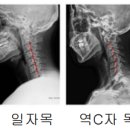 정릉바로척의원 이미지
