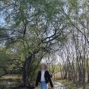 느티나무상회 - 제천시 애련로 204 | 느티나무상회