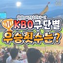 KBO구단별 우승횟수는? 이미지