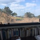 카페닐스 이미지