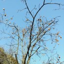 (주)황금농장 이미지