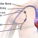 유신 태권도장 이미지