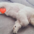 물맑은비뇨기과의원 이미지