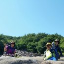 장산골