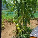 부춘농장 이미지