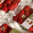 화성농장 이미지