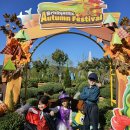 슬립랜드 이미지