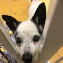 방배한강동물병원 이미지