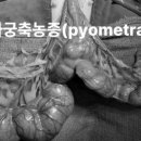 협진농장 네이버블로그