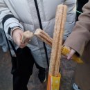 여주-0312 | 23.03월의 기록