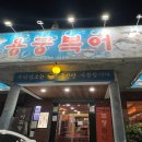 용궁복어 이미지