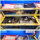 온양1동 번영로 이미지