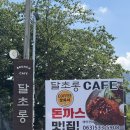 [전북 정읍] 정읍 돈까스 내장산 맛집 달초롱 카페 다녀온 후기