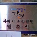 달꽈배기 이미지