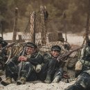 대오상사 이미지