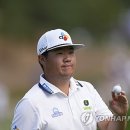 Green Colo 이미지