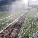 남해군농업기술센터 이미지