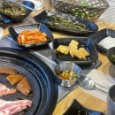 울산 고기쟁이
