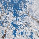 하얀세상 이미지