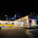 옐로우연화 이미지