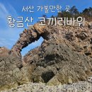 코끼리포장마차 | 서산 황금산 등산코스 주차장부터 코끼리바위까지 완벽 총정리