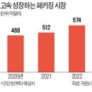 삼성 숙적 TSMC, 반도체 패키징 협업위해 일본행 이미지