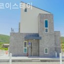 가덕 코이 이미지