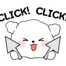 경주 캠핑573