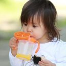 학장과일 이미지