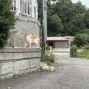 지베르니펜션2 이미지