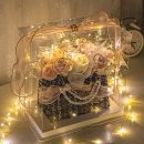 가행나무 이미지