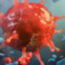 해온마취통증의학과의원 이미지