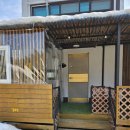 별이애견 이미지