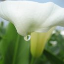 강천농장 이미지