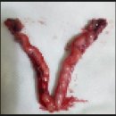 행담 동물병원 이미지