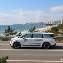 대전펫택시 | 🚕 카카오펫택시 고민 중이라면?