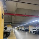 효지미 | 대전 봉명동 속눈썹펌 NC백화점 지미헤르츠에서 유지력 좋은 속눈썹펌받은 후기