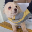 안정순환로56번길 이미지