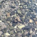 대방각 | 엊그제 일상:)