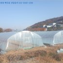 중로(보)2-1-5 이미지