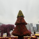 동구미꽃식물원 이미지