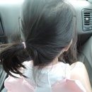 중앙동179 이미지