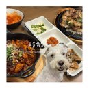 요술강아지 | [대구 맛집] 애견동반가능한 가성비정식맛집 “ 요술밥상 대구신세계점 ” 솔직후기
