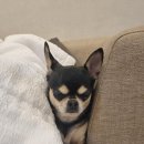 스테이숨 이미지